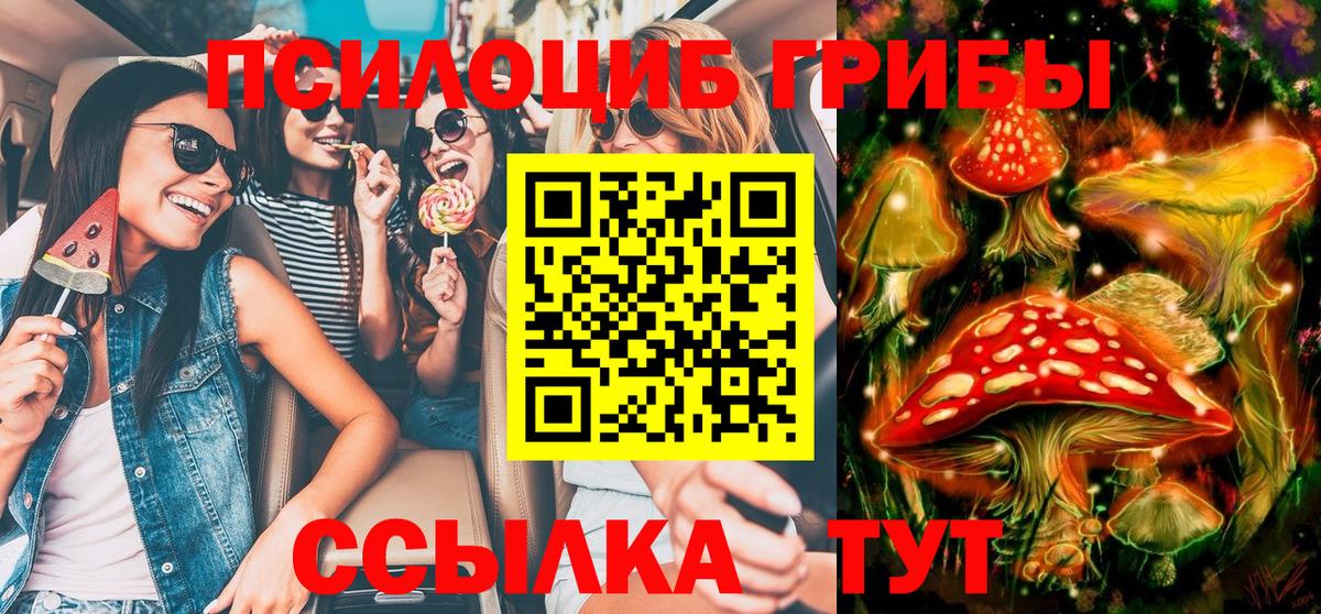 Элиста  Псилоцибиновые грибы Psilocybine cubensis  Вход с VPN 